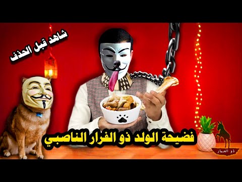 فضي حة ذو الفقار المغربي الشيعة ك لااااب يأكلون عظما وأهل السنة أطهااار