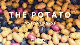 Potato Mastermind  Part 1