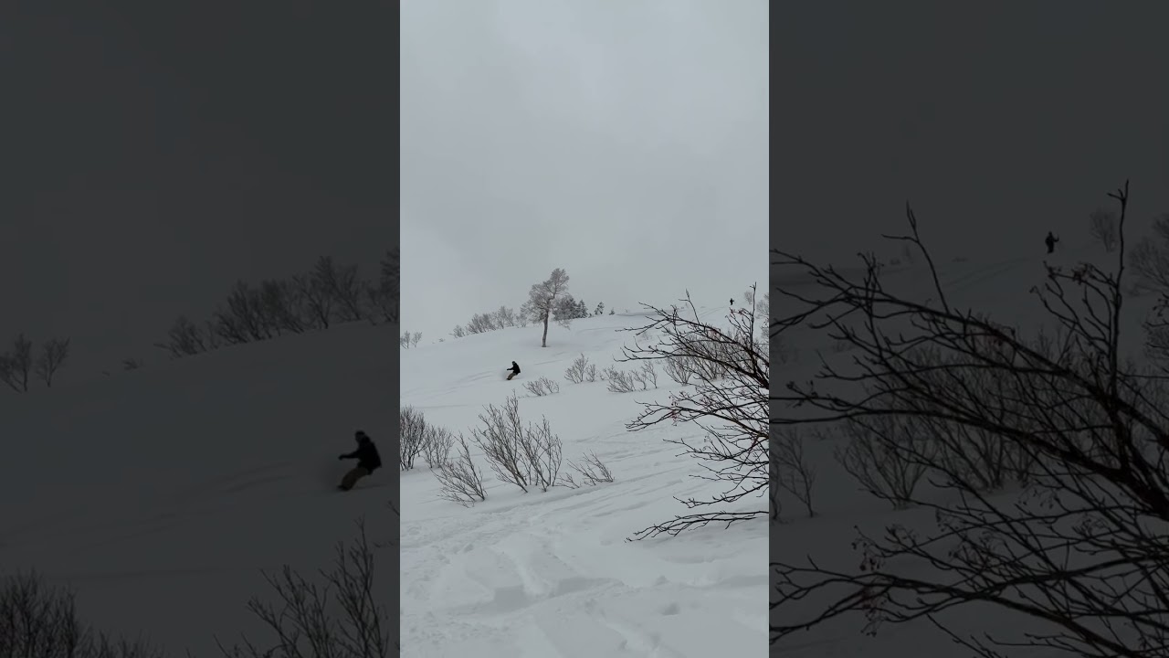 Mt tyausu BC ride![japan,japow]