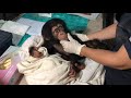 The rescue of baby chimpanzee Fifo