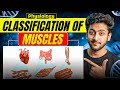 Physiology - Classification of Muscles | MBBS 1st Year | Explanation With Exam Notes |MBBS World