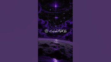 القارئ عبد الرحمن مسعد