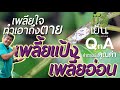 เพลี้ยอ่อน เพลี้ยแป้ง เจอเพลี้ย เพลียใจ แถมได้ราดำบุกเป็นกองทัพ ทำเอาถึงตาย ถ้าไม่จัดการ มือเย็น QnA