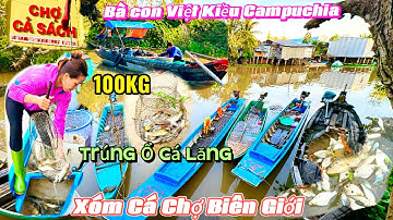 Chợ Cá Cả Sách Gần Biên Giới Campuchia Bà Con vô Mùa Cá Chạy | Trúng Ổ Cá Lăng Khủng 