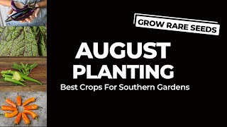 GROW RARE SEEDS | Best Crops To Plant In August In Southern Gardens