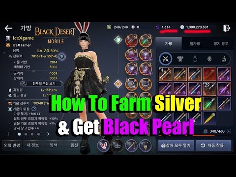 bdo how to make money with pearl