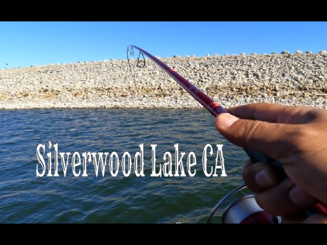 Mojave Narrows CA - Fishing Dropper Loop - Trout Action 