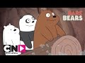 На бревне | Вся правда о медведях | Cartoon Network
