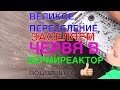 🐛091🐛ВЕЛИКОЕ ПЕРЕСЕЛЕНИЕ &amp; ЗАСЕЛЯЕМ ЧЕРВЯ В ВЕРМИРЕАКТОР🐛