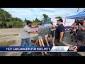 Hot cars: A danger to kids and pets | Essential safety tips