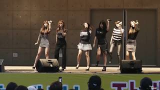 직캠151114 헬로비너스HELLOVENUS   차 마실래    로타리안 장애인 행복나눔 @어린이대공원 by DarkSniper