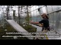 An experimental forest looks to measure peats impact on climate