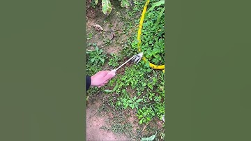 Dụng cụ nhổ cỏ, weeding tools #shorts #tienichthongminh