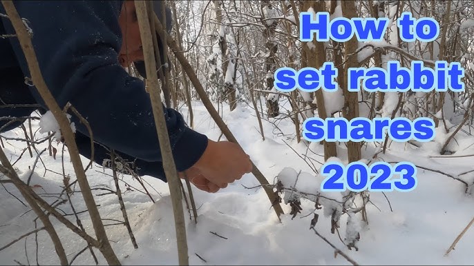 How to Make a Basic SNARE Trap with Paracord or Wire - Catch Your