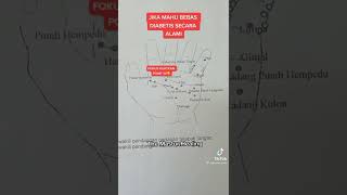 urut tapak tangan