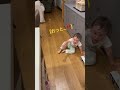 周りすぎてヨロけるのにカッコつけるボク😂 #赤ちゃん #国際家族