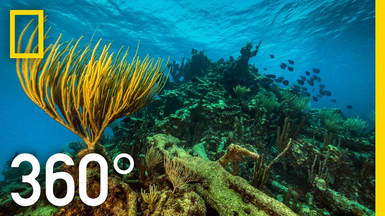 360 Underwater National Park  National Geographic