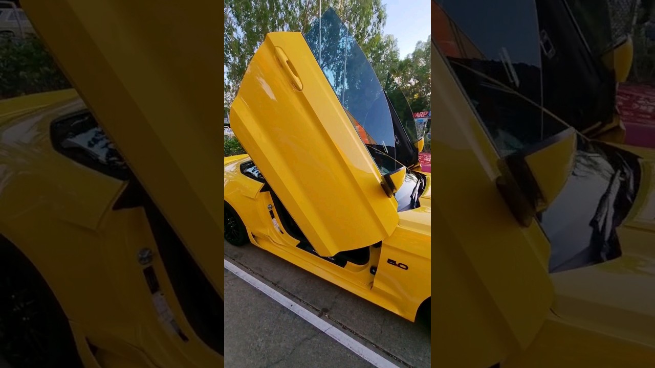 Crazy Gull Wing Mustang!