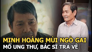 Minh Hoàng Mùi Ngò Gai Mổ Ung Thư, Bác Sĩ Trả Về