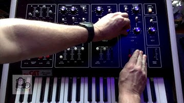 Octave Cat Demo - Making a rhythmic patch