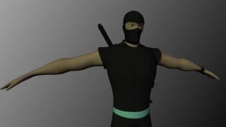 Celebrity Ninja (low poly 3D Model) Profile