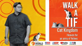 Walk-A-Tif: Cat Kingdom, heaven for an army of felines