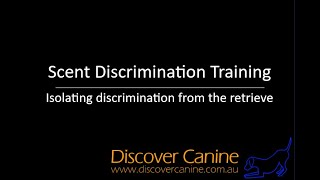 teaching ANKC scent discrimination