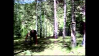 Любительское художественное кино "Тихая роща" (Silent grove) Любительское художественное кино "Тихая роща" (Silent grove)