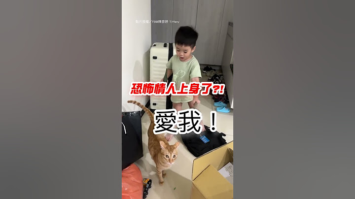 【拍攝者不救?】窒息的愛(?) 弟弟狂逼問貓愛我嗎｜貓咪｜小孩｜搞笑｜逼問｜寵物｜萌寵｜萌娃