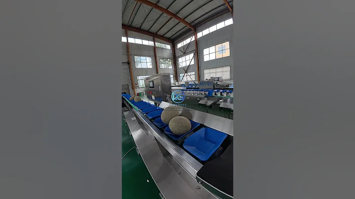 Xindesheng Automation Technology Melon Sorting Machine(XDS-800G-A) #sorting #machine #fruit #food