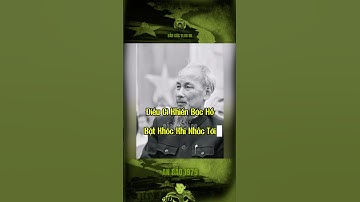 ĐIỀU GÌ KHIẾN BÁC HỒ BẬT KHÓC KHI NHẮC TỚI… #bảocóc #bacho #bảocócvlog #baococvlogboss #shorts #xh