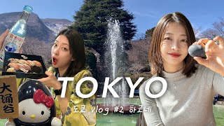 오다큐선에 불나서 로망스카 못탄 썰 EP.2 도쿄도정원미술관, 하코네, 오와쿠다니, 토키노유세쓰게츠카, 고라공원