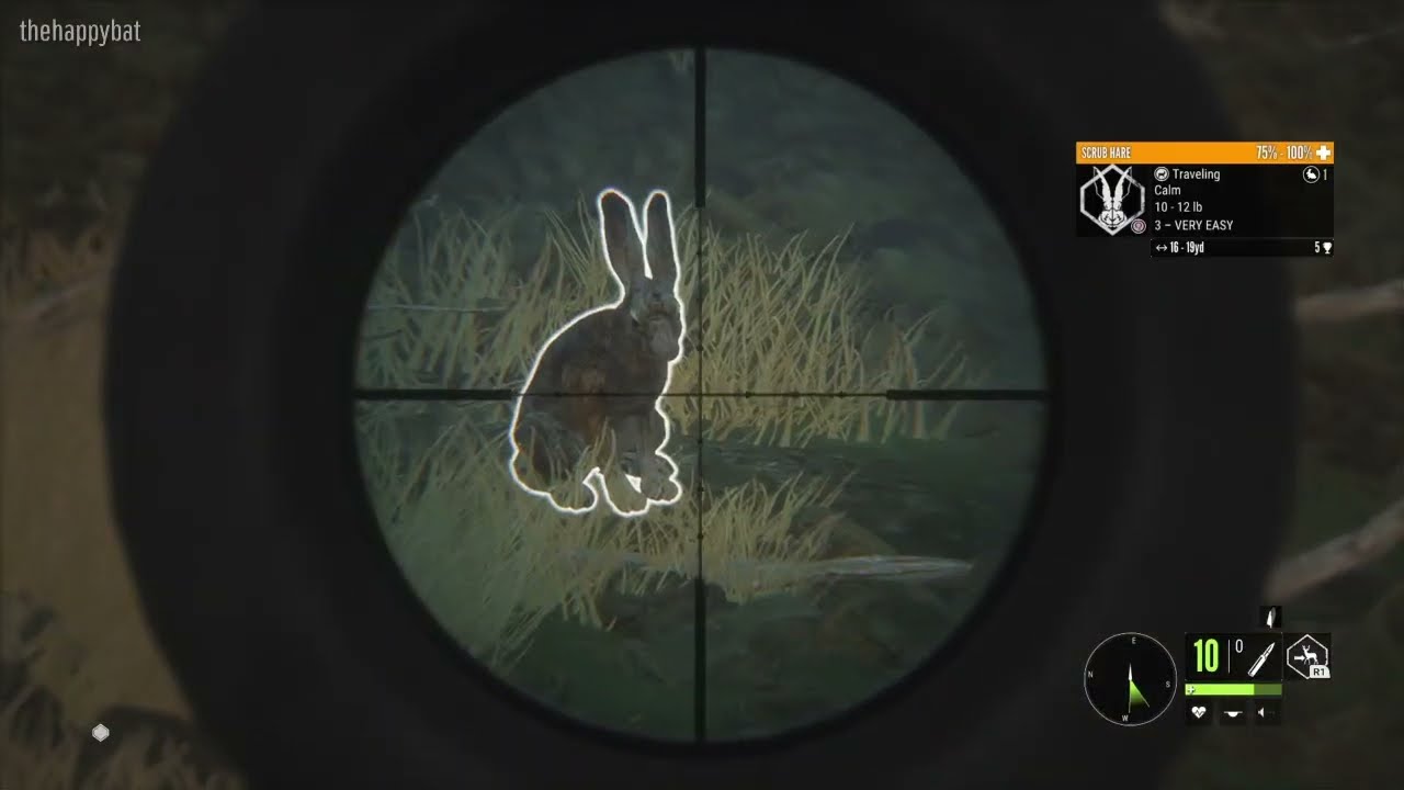 Tracking a Diamond Scrub Hare over 2km! | theHunter: Call of the Wild