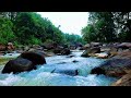 Relaxing Music for Stress Relief | Nature River Sounds for Stress, Anxiety &amp; Insomnia