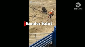 jitender Saini new videos