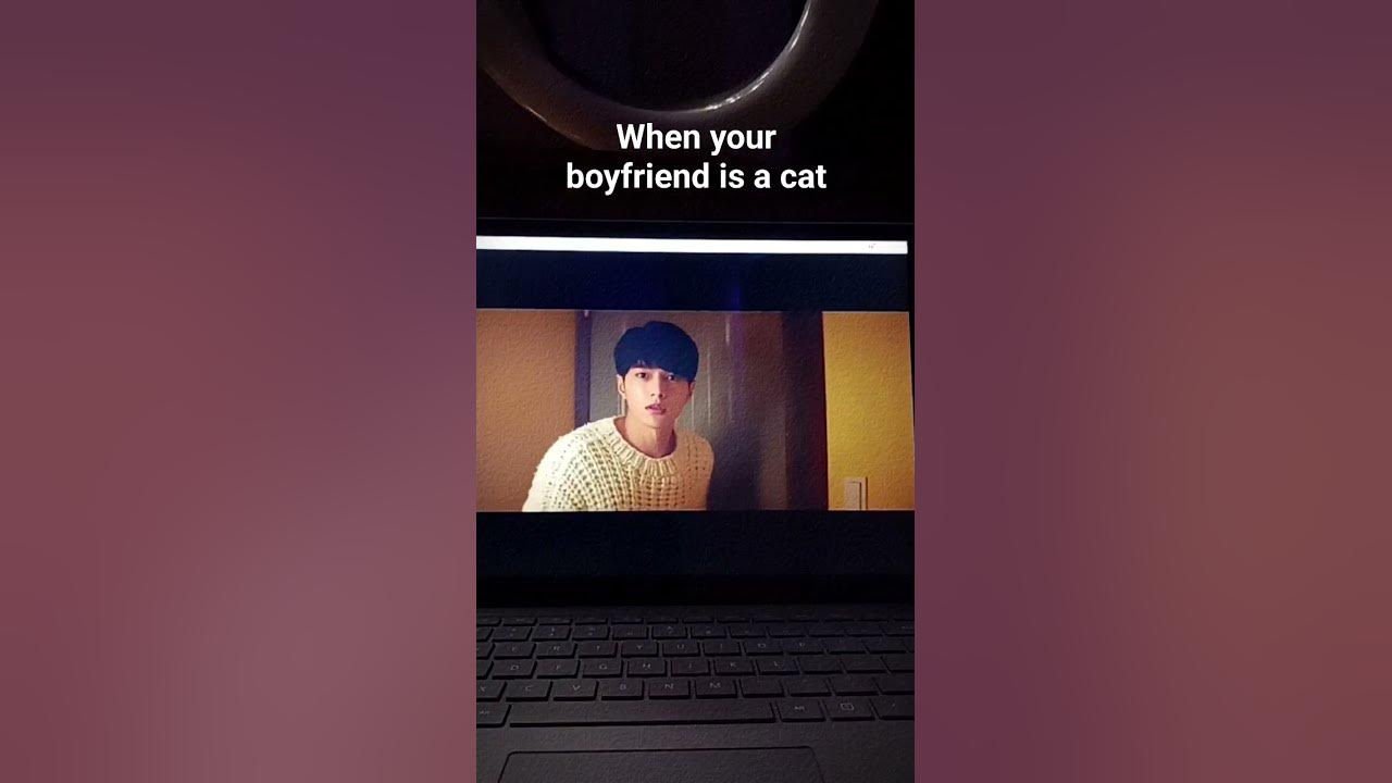 cat boyfriend #cat #kdrama #shorts #funny