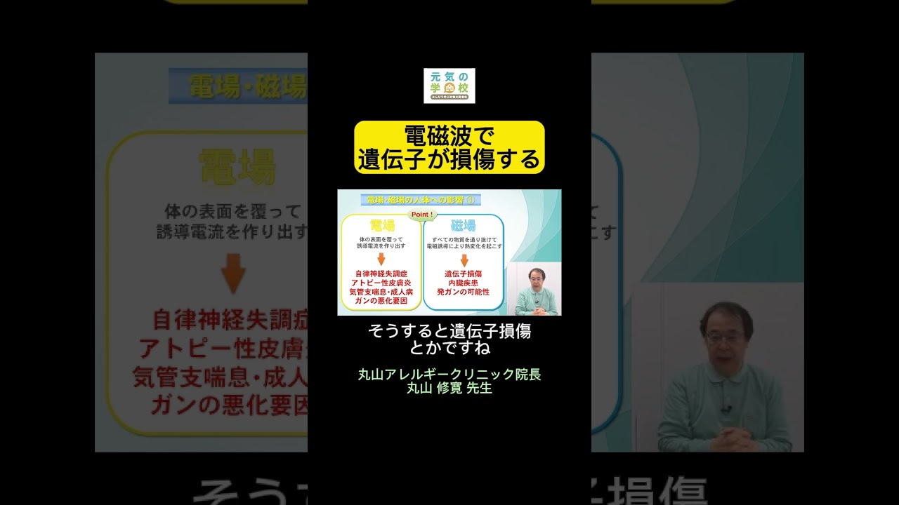 アーシス 停滞電流吸収＆電磁波対策　丸山修寛先生 株式会社ユニカ 丸山修寛先生開発電磁波対策製品 アーシス : PECHKA