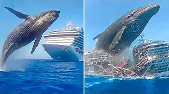 20 Animal Encounters That Went Horribly Wrong