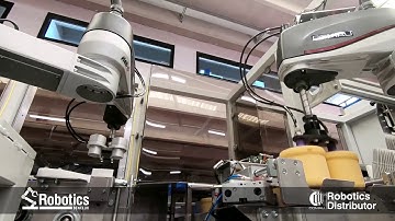 Comau SCARA REBEL S   line for filling self forming boxes   SISCODATA