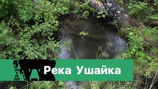 К истории реки Ушайки