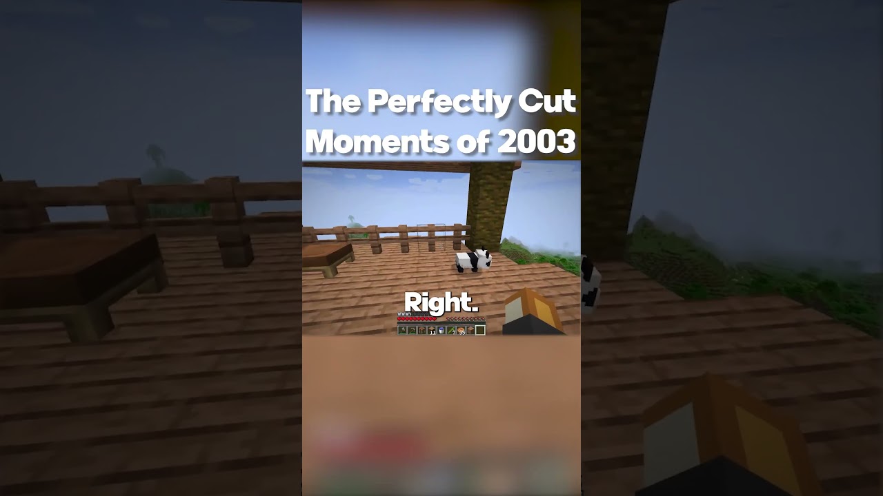 The Best Perfectly Cut Moments of 2003!