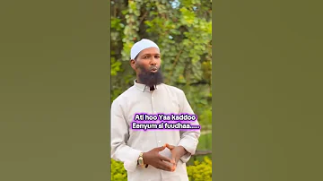 New Nashiid Abdosh Aliyyii Ati Hoo Yaa Kaddoo Eenyuma Si Fuudhaa IbsaaaMedia K1 2025 