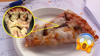 ¿WTF Pizza de Alacranes?  [76] ⏰