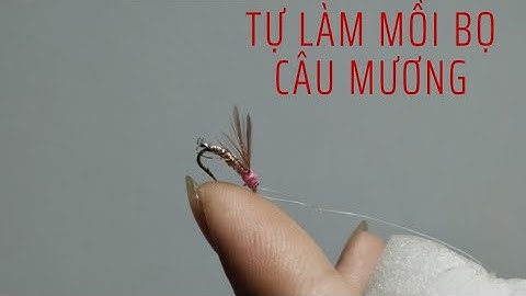 Làm mồi bọ câu cá mương,mồi fly vs chút kinh nghiệm cho ae mới chơi