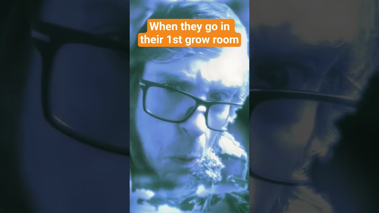Going into your 1st grow room 