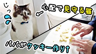 Dad who can't cook makes sweets and cute cats are worried [White Day]