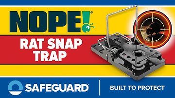 NOPE! Rat Snap Traps
