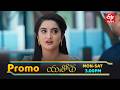 Yashoda Latest Promo | Episode No 117 | 12th March 2026 | ETV Telugu