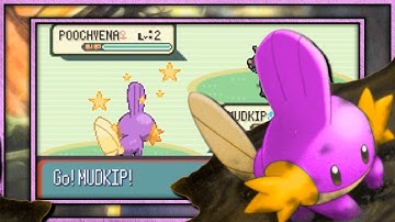 Live! Shiny Mudkip after 8,652 Sr