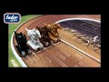 Fortune Cup Las Vegas (Horse Racing Game) - YouTube